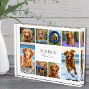 Search for photo home decor Create your own