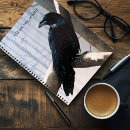 Search for raven notebooks Winter