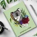Search for koala notebooks Wildlife