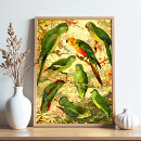 Search for amazonian posters Tropical