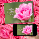 Search for single rose cards Nature