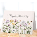 Search for wildflower mothers day cards Colourful