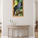 Search for crested art Nature