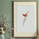 Search for cardinal posters Cardinalis cardinalis