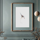 Search for jay posters Cyanocitta cristata
