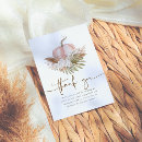 Search for pampas cards Pumpkin