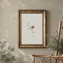 Search for robin posters Turdus migratorius
