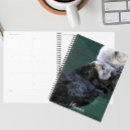Search for bath office supplies Animal