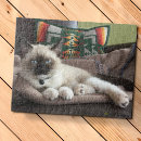 Search for crazy cat lady puzzles Kitty