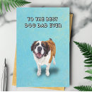 Search for bernard cards Illustration