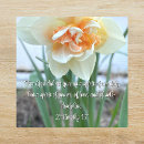 Search for photo editing stickers Edit text