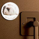 Search for cavies magnets Rodent