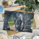 Search for elephant tea towels Cute