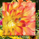 Search for red dahlia magnets Botanical