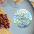 Search for petal coasters Botanical