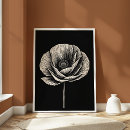 Search for black and white flower drawing art Botanical illustration