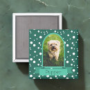 Search for small pets magnets Dogs