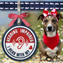 Search for cat supplies Medical