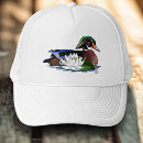 Search for duck hats Wildlife