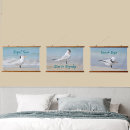 Search for tern Coastal