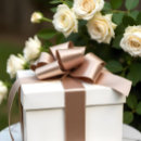 Search for boho ribbon Beige