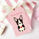 Search for boston terrier valentine Puppy