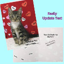 Search for cat hug cards Tabby