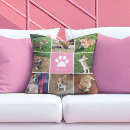 Search for pink paws For her