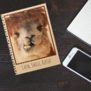 Search for alpaca notebooks Cute