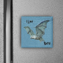 Search for flying bats magnets Black