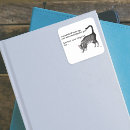 Search for grey cat stickers White