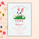 Search for rabbit 1st birthday invitations Baby girl