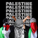 Search for scarf tshirts Palestine