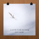 Search for funny seagull art Motivational