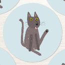Search for cat stickers Humour