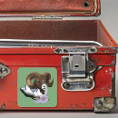Search for bighorn stickers Rocky mountain bighorn sheep