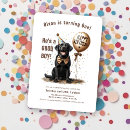 Search for black labrador invitations Puppy