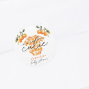 Search for clementine stickers Modern