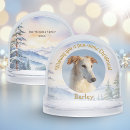 Search for snow globes Cute