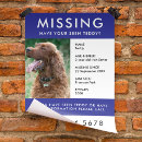 Search for have you seen posters Missing pet