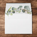 Search for eucalyptus envelopes Green and white