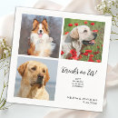 Search for cat wedding napkins Reception