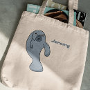 Search for manatee bags Florida wildlife