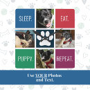 Search for pet photo clocks Modern