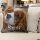 Search for pet photo cushions Keepsake