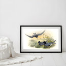 Search for lithography posters Illustration
