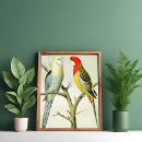 Search for vintage parrot art Animal
