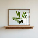 Search for olives art Olive branch