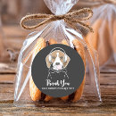 Search for cute beagle puppy stickers Thank you