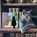 Search for bird feeder Cat